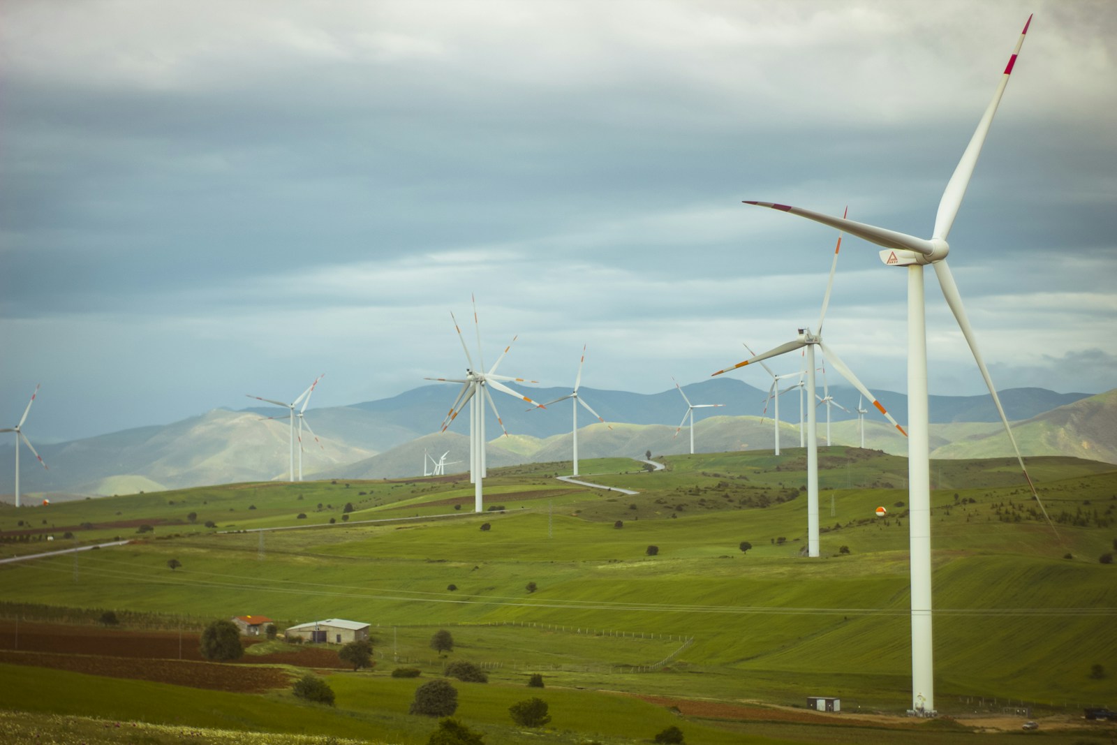 Wind turbines in a green landscape, illustrating the wind-energy sector